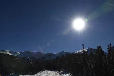 DSC_4969 (Large).JPG